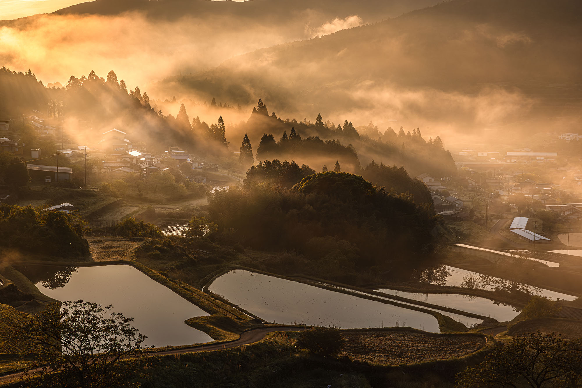 グランプリ水野さんの作品