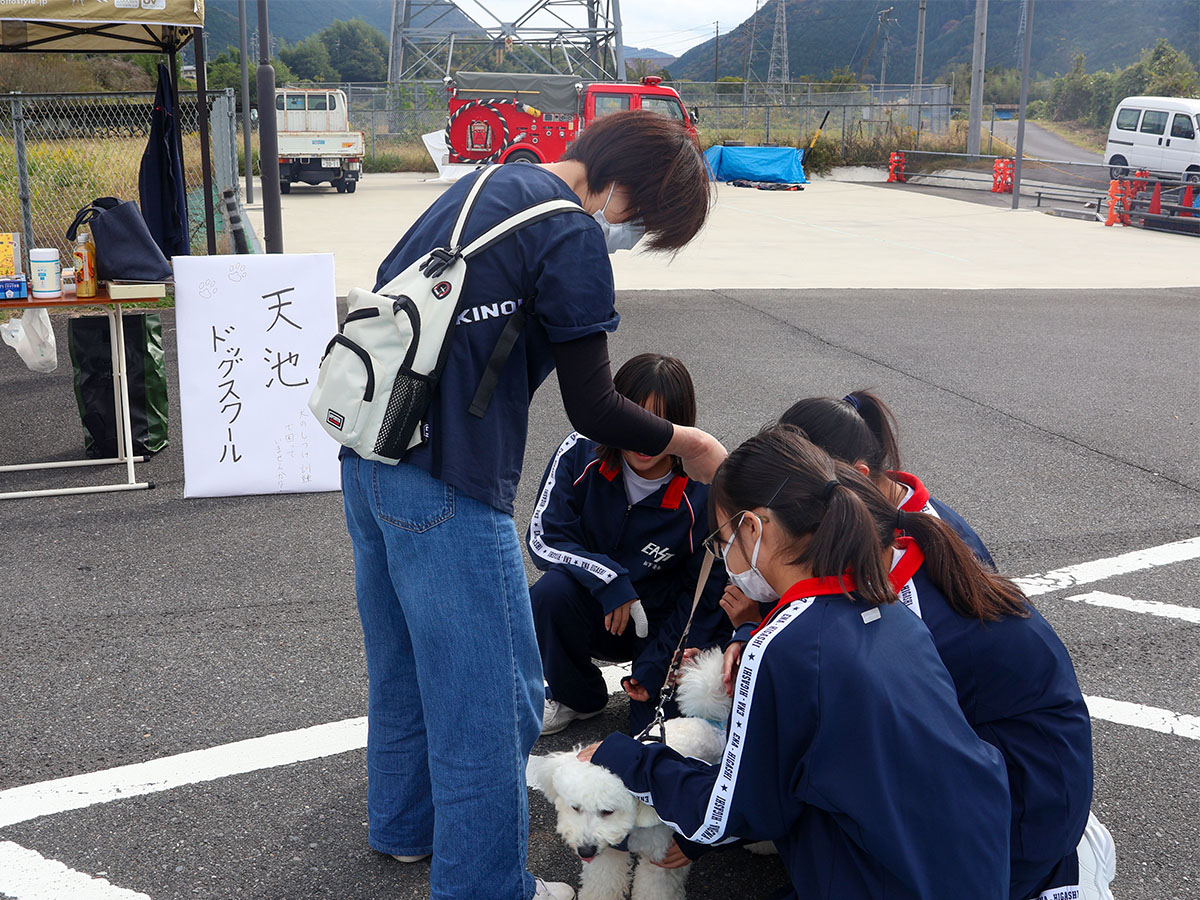 犬と触れ合うボランティアの学生たち