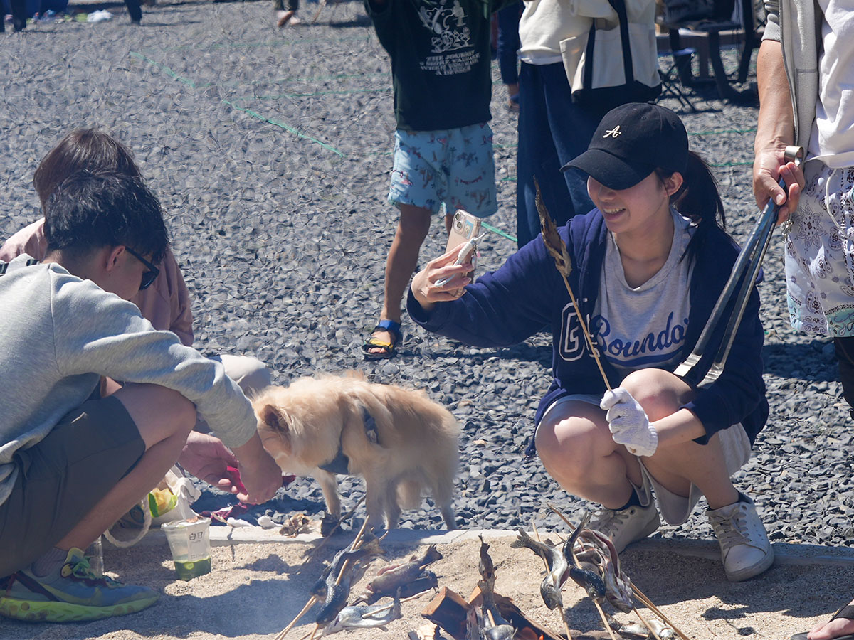 焼いた魚をほおぼる犬