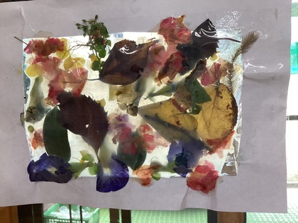 押し花の飾り