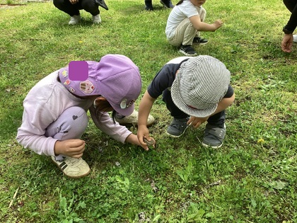 四つ葉