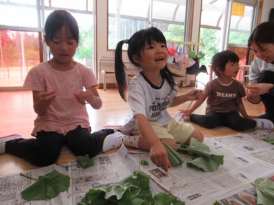 園に帰って蕗のすじとりです。