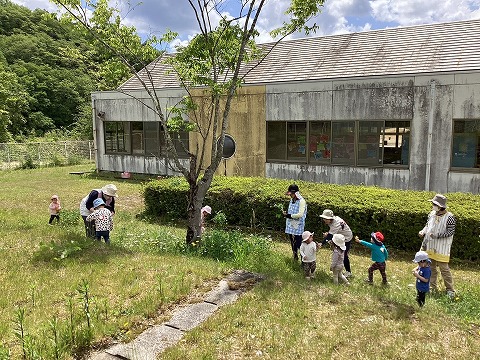 未満児が中庭で花遊び