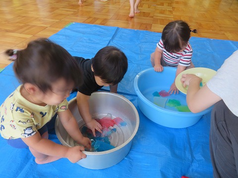寒天をつつく子ども達