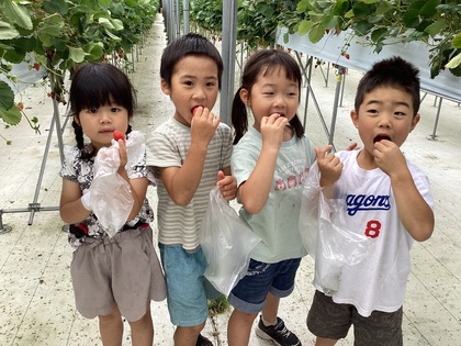 いちご狩り4
