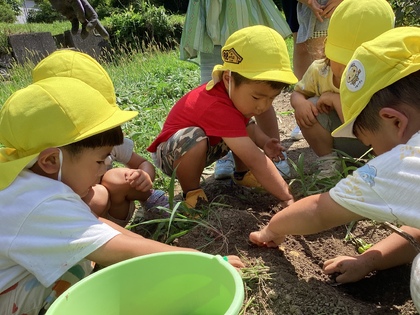 3歳児もお手伝い