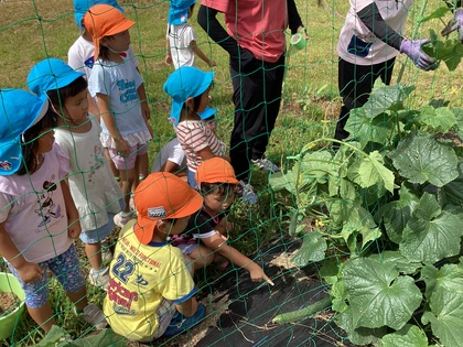 ここにきゅうりがあるよ