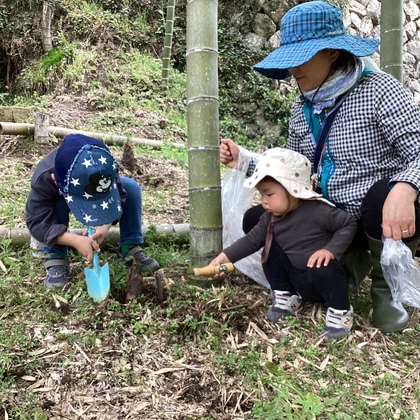 たけのこほるよ