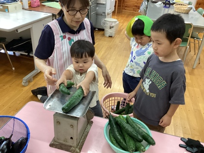 測る