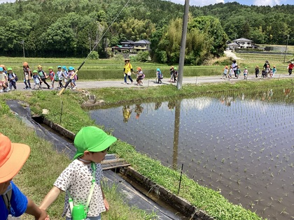 なにか生き物いるかな