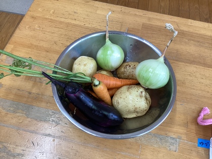 カレー材料
