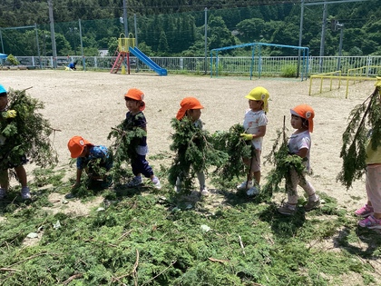 檜の葉を運ぶところ