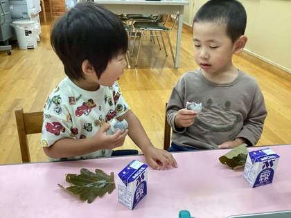 朴木の葉朴木の饅頭