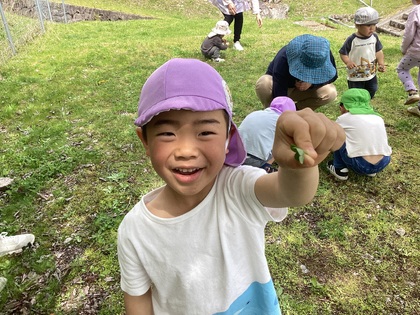 四つ葉見つけた