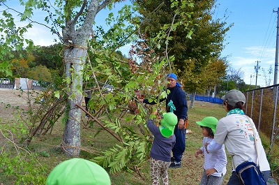 秘密基地を作るよ