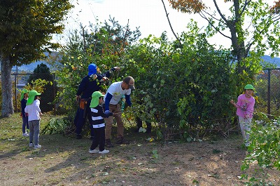 よいしょよいしょ