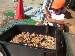 コンポストに果物の皮を入れるよ