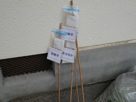 畑の看板