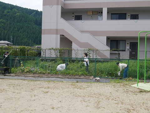 草取り