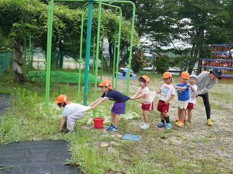大きなかぶのような草取り