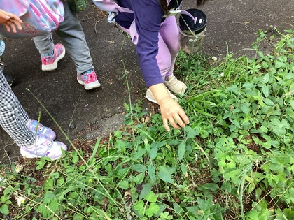 どれにしようかな?