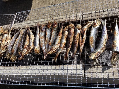 こんがりイワシ