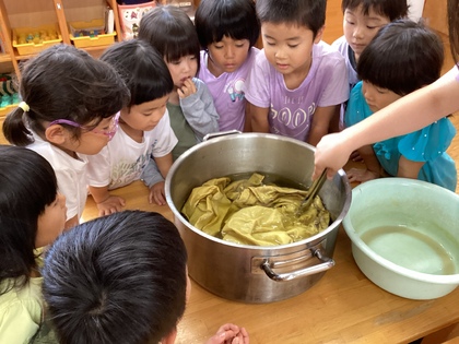 マリーゴールドの黄色に染まったよ