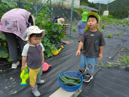 野菜