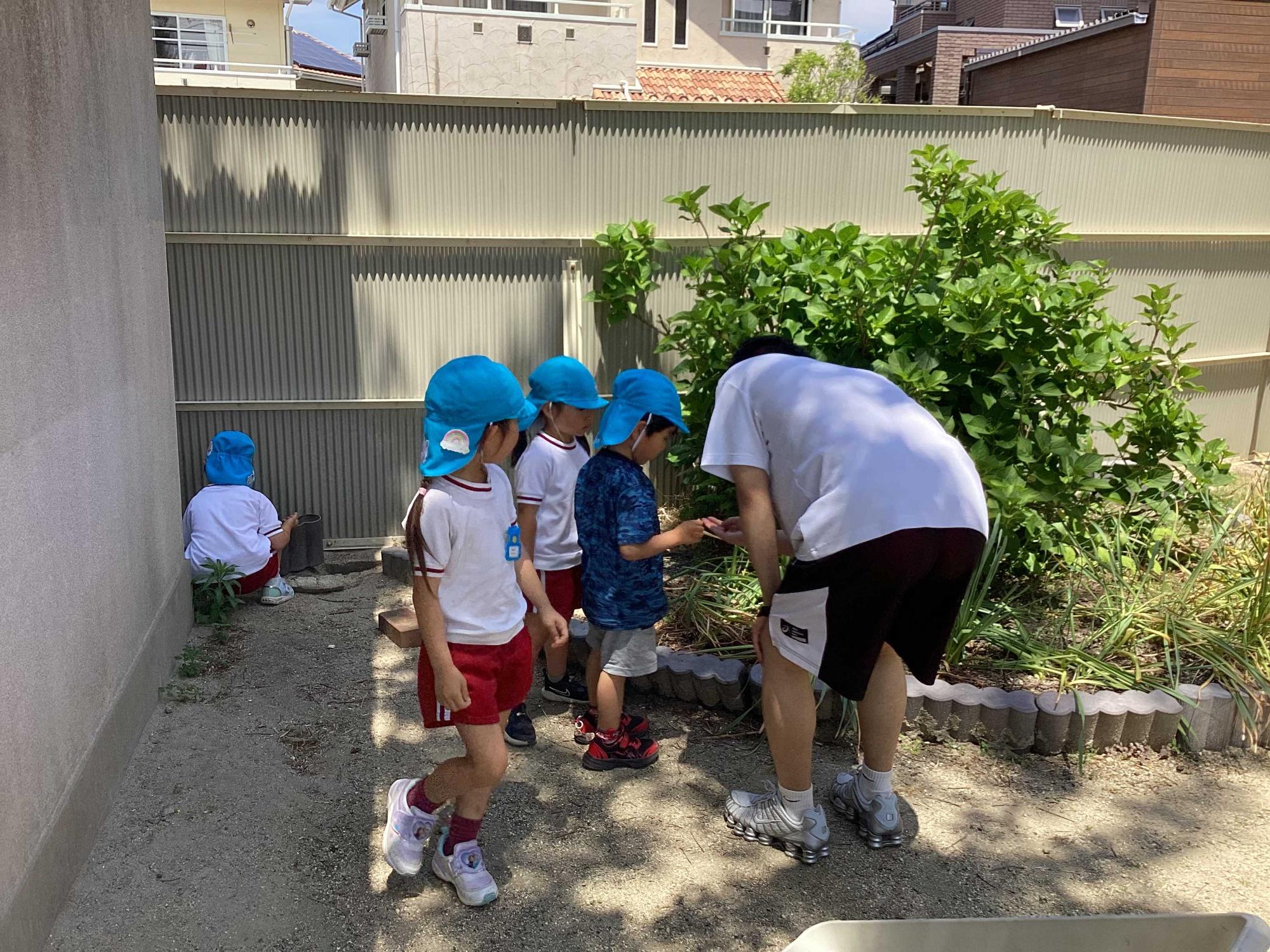 お兄さんと