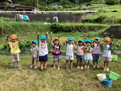 きゅうり大収穫