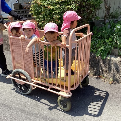 カートでお散歩