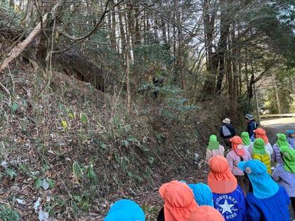 馬酔木はあるかな