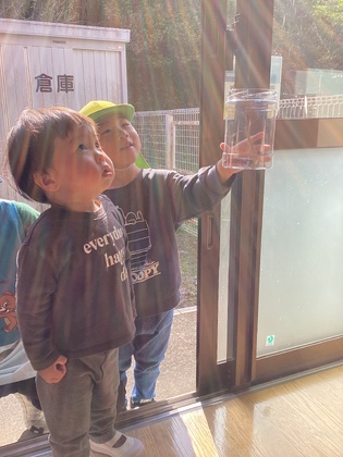 新しいお友達