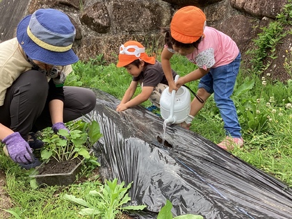 ジョウロでみずやり