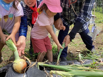 ちょっとお手伝いしますよ。