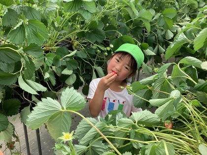 甘くておいしい!