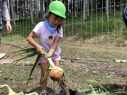 力いっぱい抜きました