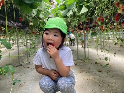 いちごおいしい!