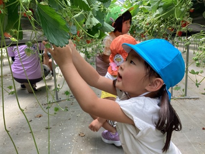 おいしいの見つけた