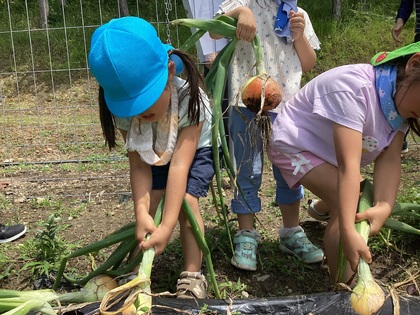 なかなか抜けないね。
