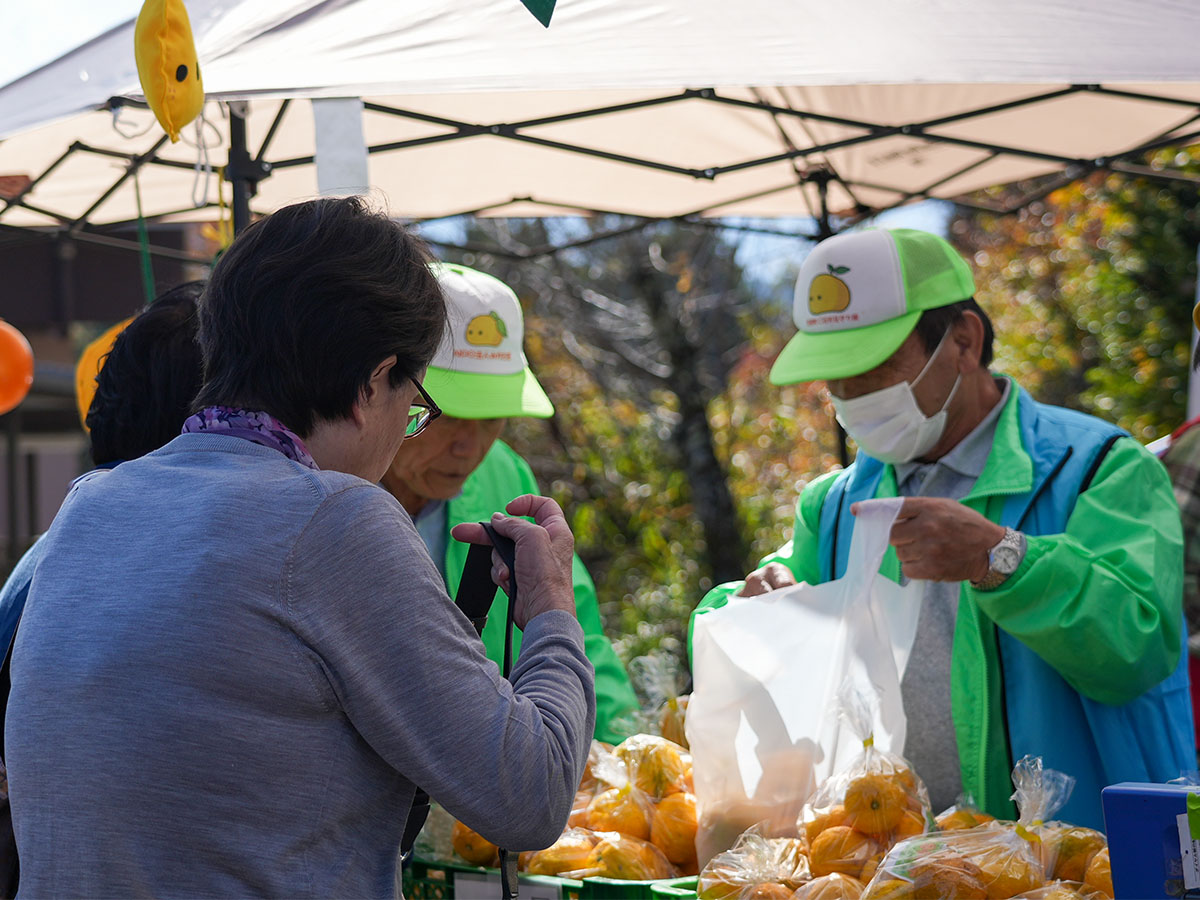 笠置町で採れたゆずを販売