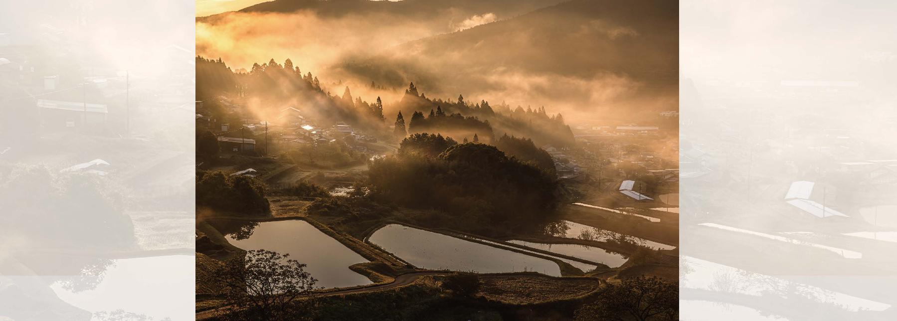 2025フォトコンテストグランプリ作品