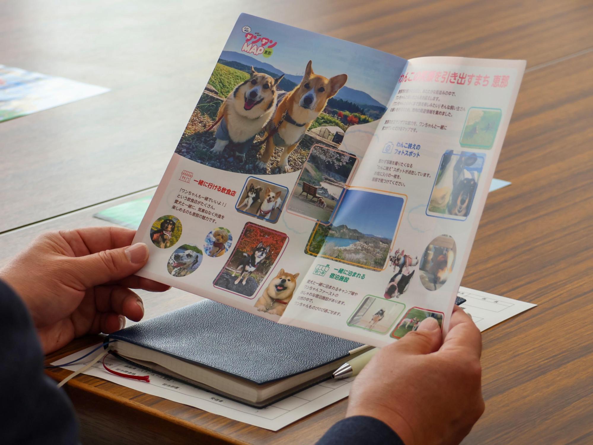 『ここ！ほれ！ワンワンMAP 恵那』