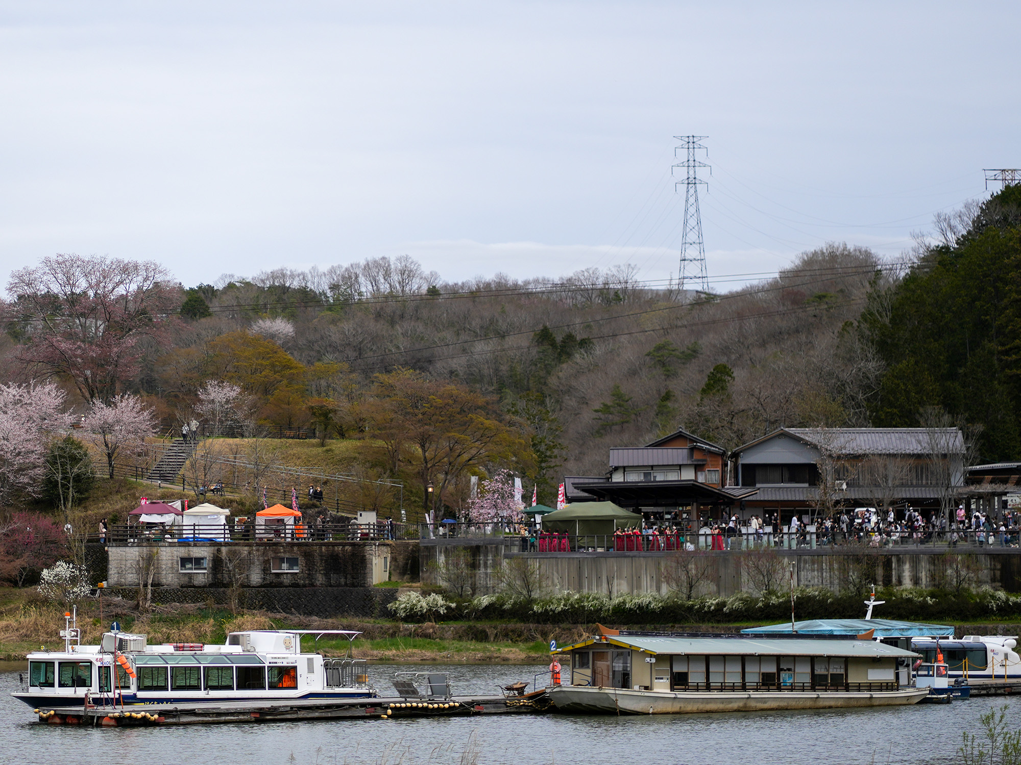 さくらまつりの様子