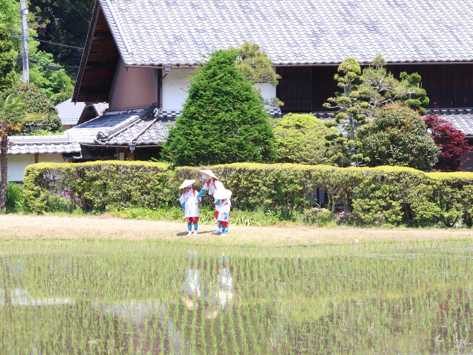 早乙女姿の親子
