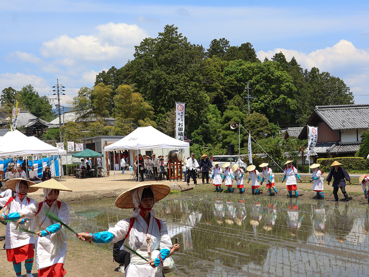 早乙女によるお田植えと踊り