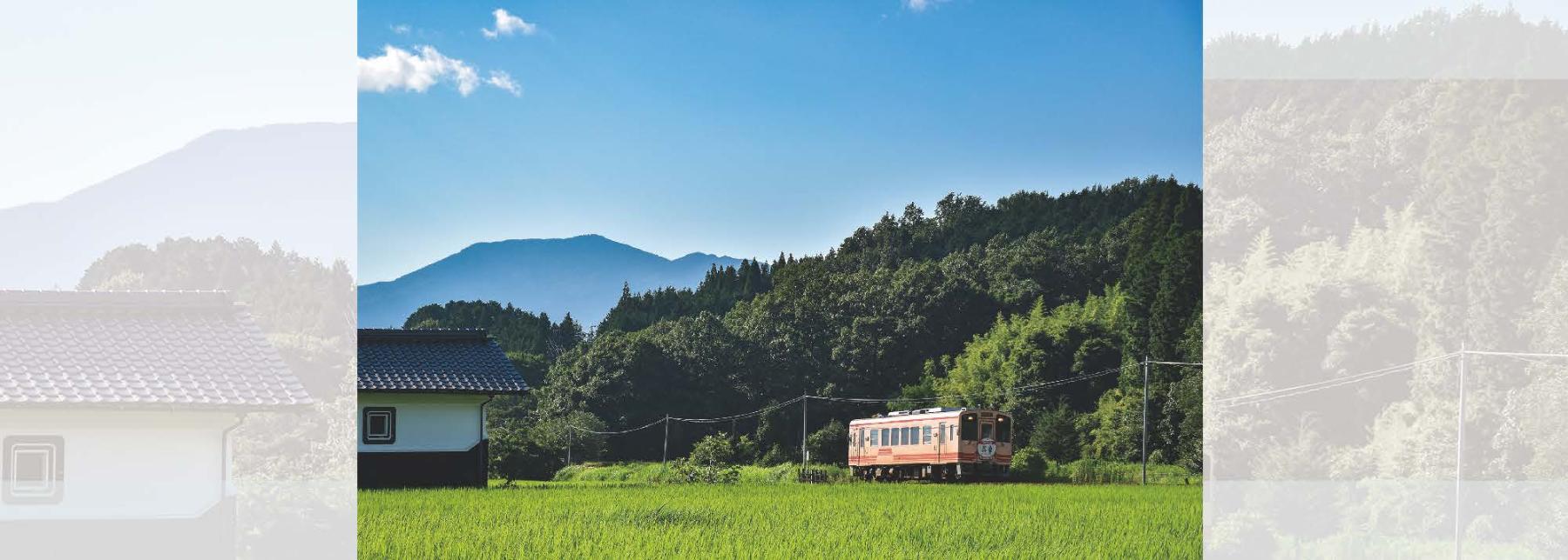 新緑と明知鉄道の風景
