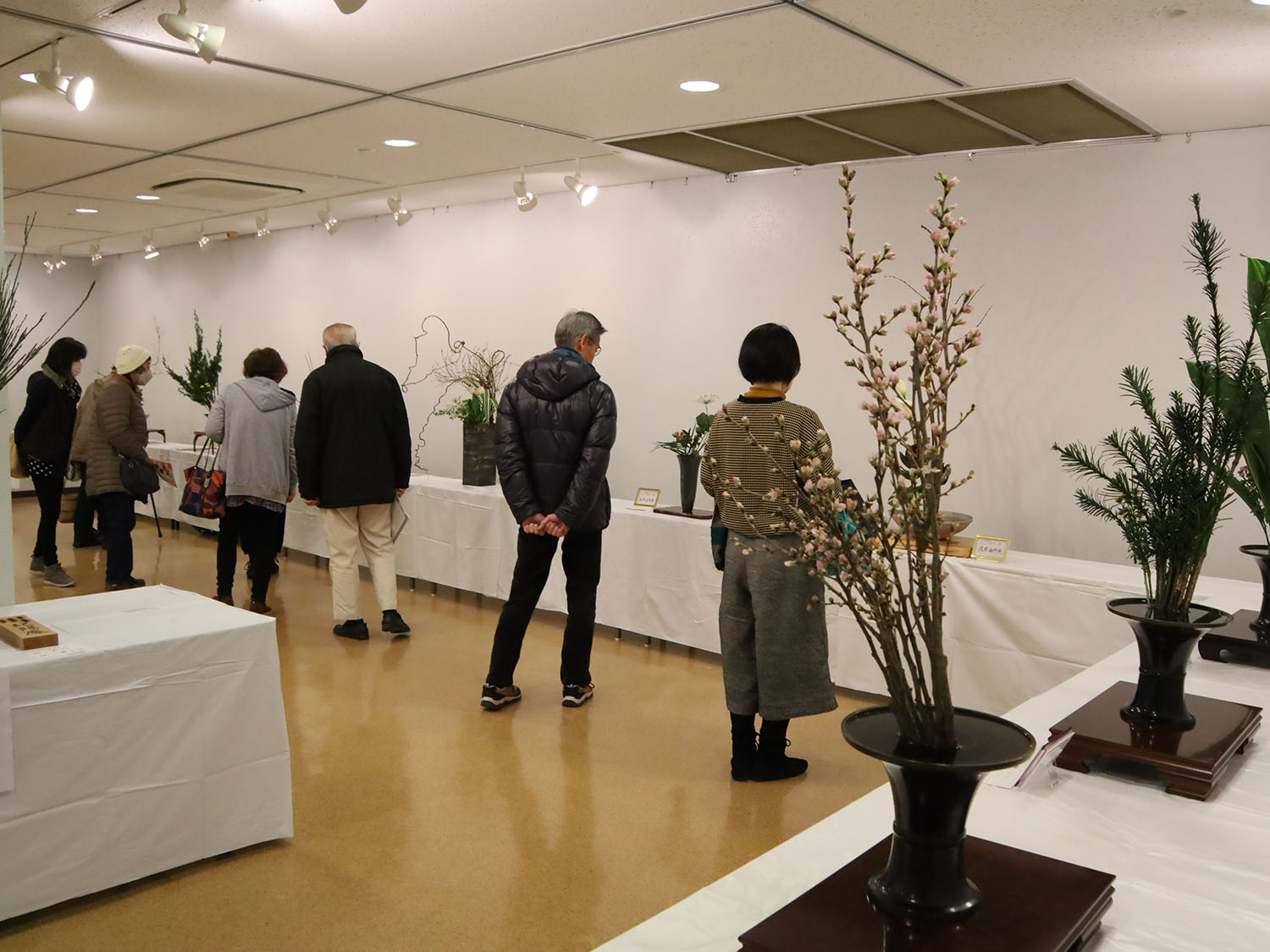 生け花を鑑賞する