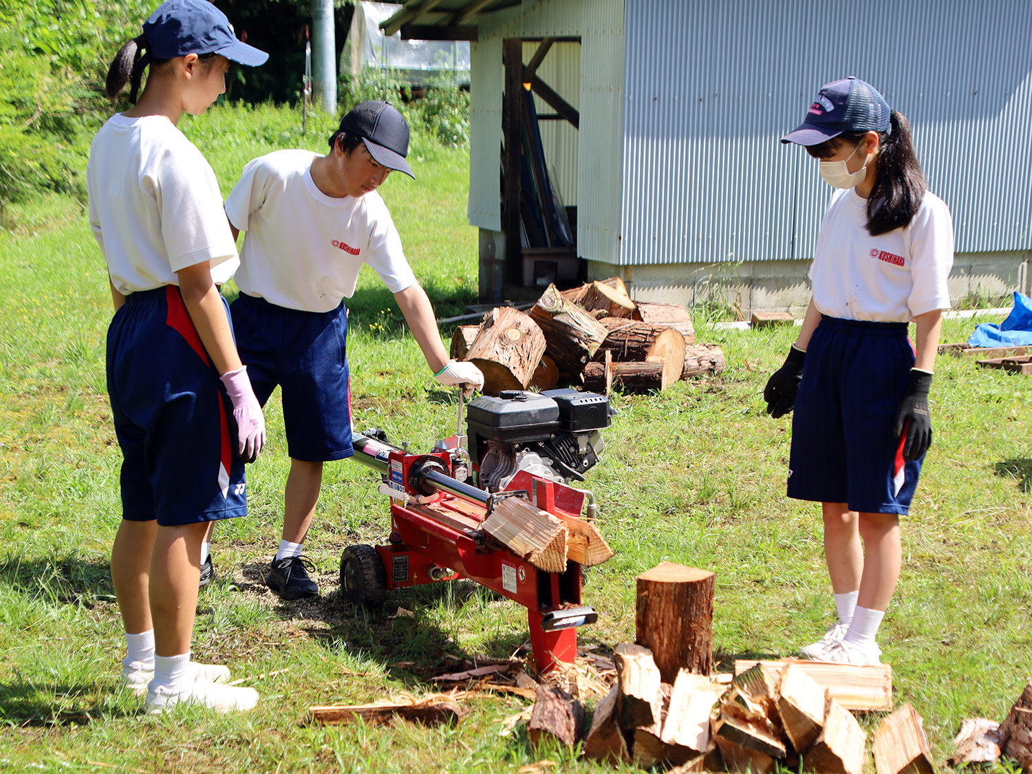 機械を使って大きな丸太を割る串原中学校の生徒たち