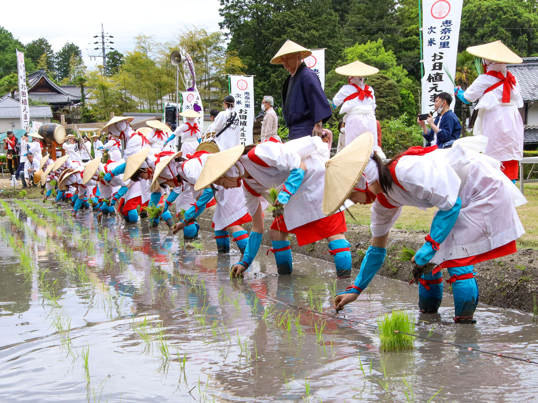 早乙女たちが田植えをする